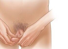 Jelqing exercises for penis enlargement